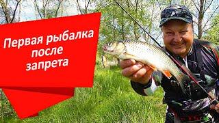 Окунь и голавль на первой рыбалке после запрета|Тест Crazy Fish levin до 5 грамм