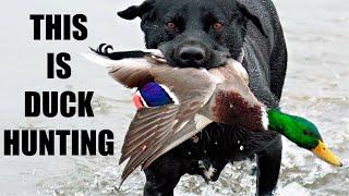 This is Duck Hunting! A Mid Valley Mercenaries Special