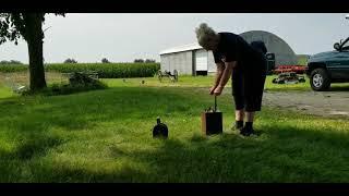 Setting off cannons with blasting plunger box