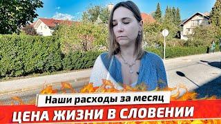 Расходы за месяц в Словении: Цены на Жильё, Продукты, Бензин, Медицину, Одежду, Школу