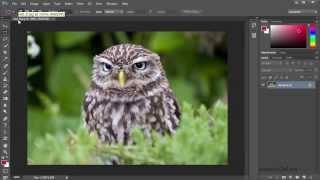 Уроки Фотошопа для начинающих бесплатно с нуля. Как работать в Фотошопе. #7
