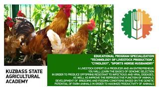 Kuzbass State Agricultural Academy invites foreign applicants for education: Zootechnics