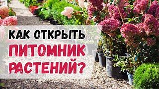 Как открыть питомник растений с нуля? Как начать бизнес на земле по выращиванию растений