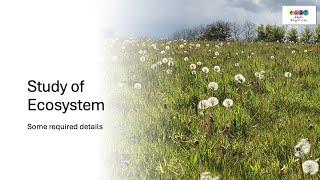 Biology Bugbears Ecology-Study of Ecosystem-Flora & Fauna-Leaving Cert Biology 2025