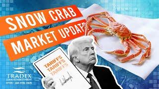 3MMI - Snow Crab Forecast: Low Inventory, Upward Prices, Tariffs, Russia