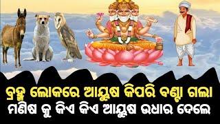 ମନୁଷ୍ୟ ଭଗବାନ ବ୍ରହ୍ମାଙ୍କ ଠୁ କିପରି ଅଧିକ ଆୟୁଷ ନେଲା ..