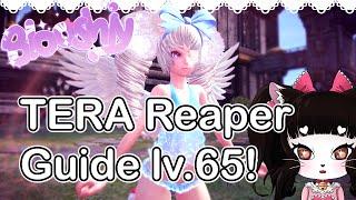 Tera Reaper Pro lv.65 PVP/PVE Guide - Tips & Tricks