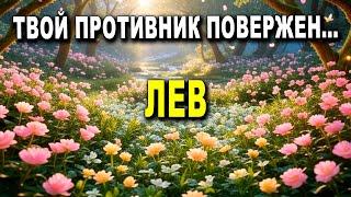 ЛЕВ  ОНА ПОПЛАТИЛАСЬ ЗА СВОЁ ПОВЕДЕНИЕ С ТОБОЙ, СЕЙЧАС ВСЁ ОЧЕНЬ СЕРЬЁЗНО ‼️