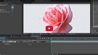 Эффект Цветовое тиснение  Color Emboss  After Effects