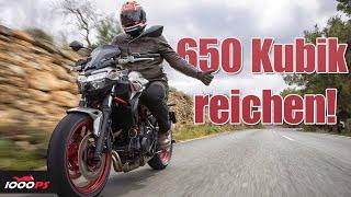 Mehr braucht es nicht! Test der Kawasaki Z650 2023 - Rückbesinnung auf das Wesentliche