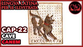 Lingua Latina Per Se Illustrata Cap.22 Cave Canem