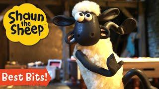  Hilarious Moments from Shaun the Sheep Season 4!