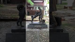 Exploring The Special Hachiko Statue