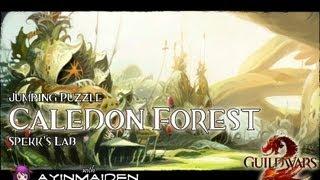 Guild Wars 2 - Jumping Puzzle - Caledon Forest (Spekks's Laboratory)