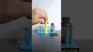 Double Displacement Reaction Class 10 | Precipitation Reaction| #shorts #experiment