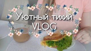 Уютная рутина жизни простого офисного работника / Silent vlog