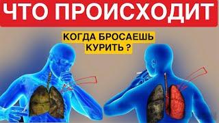 Что Происходит, когда бросают курить?