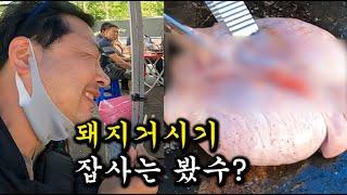 모란시장5일장. 돼지부속 무한리필 8천원(소주포함) 성남토박이 "미뇽"과 함께
