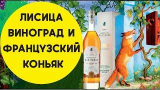 Французский коньяк Francois de Martignac VSOP