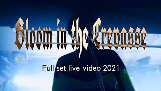 Bloom in the Crevasse - Full set live video 20215/3