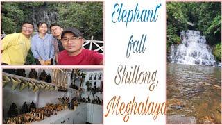 Finally We Visited The Elephant Fall| Shillong Meghalaya