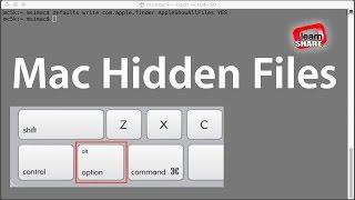 How to Show Hidden Files on macOS