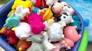 Farm Animal Figures Toys for Kids -  Old MacDonald Had a Farm