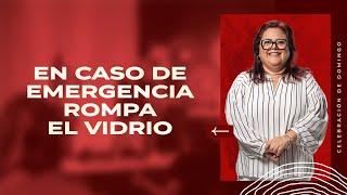 En caso de emergencia, rompa el vidrio - Yani de Esquivel