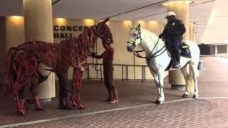 War Horse-Joey interacts with a real horse