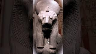  Why Is the Lion the King of Beasts? 
