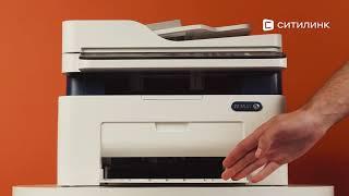 Обзор лазерного МФУ Xerox WorkCentre WC3025NI | Ситилинк