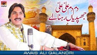 Dam Dam Ali Ali Jhapdian Rehna Ay | Awais Ali Qalandri | TP Manqabat
