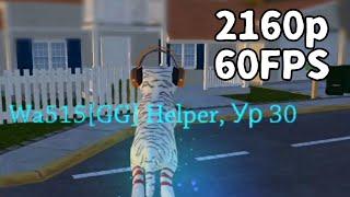 Cat simulator animal life 60 FPS 2160p