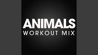 Animals (Workout Mix Radio Edit)