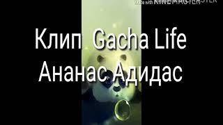 Ананас Адидас (клип Gacha life)