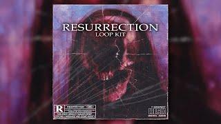 [FREE] DARK TRAP LOOP KIT 2024 - "RESURRECTION" | HIP HOP SAMPLE PACK