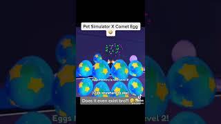 I Got The Comet Egg In PET SIMULATOR!  #petsim #roblox