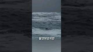 (실제) 전설의 네스호 괴물?