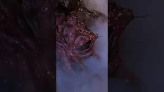The Fly Thinks He's Walter White #breakingbad #bettercallsaul #wtf #horror #funny #tiktok #trending