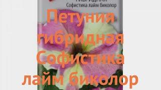 Петуния гибридная Софистика лайм биколор  обзор: как сажать, семена петунии Софистика лайм биколор