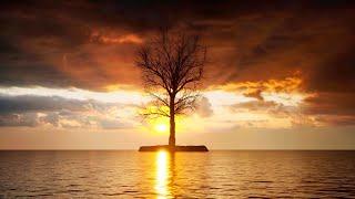 Soothing Calm - Playlist for sleep, relaxation, peace