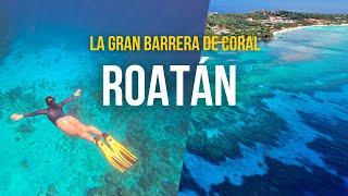 QUE HACER en ROATÁN, Honduras : Black Rock, El Canal, West Bay y el mejor HOTEL de mi VIDA ‼️