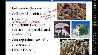 Chapter 1:  Introduction to Microbiology