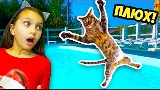 КОТЫ ВОДОЛАЗЫ! ЛУЧШИЙ НЕ ЗАСМЕЙСЯ ЧЕЛЛЕНДЖ с КОТАМИ Попробуй не засмеяться Валеришка Тест на психику