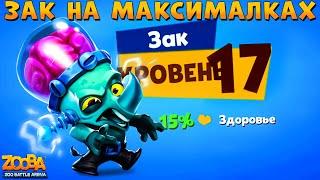 КАЧАЕМ ЗАКЕНШТЕЙНА ЗАКА НА 17 УРОВЕНЬ В ИГРЕ ZOOBA