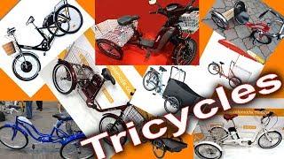 Tricycles for adults and children from Velomoda. Cargo bike.