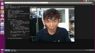 Real time face detection using MTCNN (on GPU)