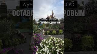 Чтобы оставаться здоровым, нужно держать в гармонии 3 системы... Доктор Анна Читанава