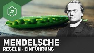 Mendel'sche Regeln - Einführung