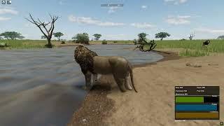 Обучение игра в Roblox Wild savanna